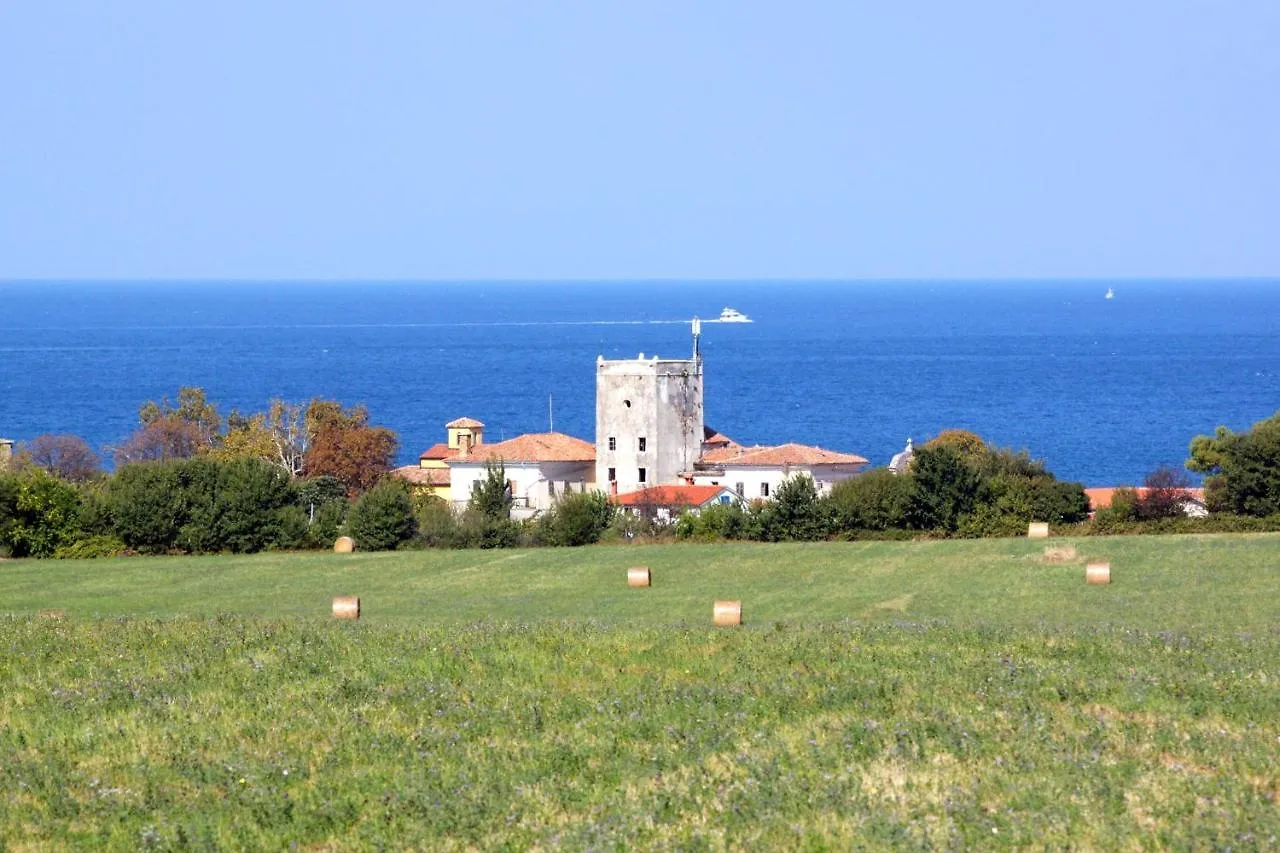 Apartments By The Sea Dajla, Novigrad - 3376